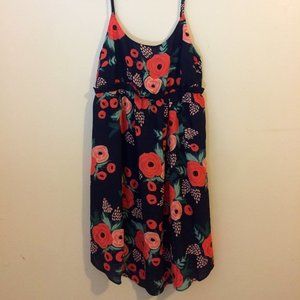 Blue Floral Anthropologie Dress NWT